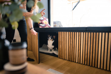 Bild von tinyhouse61.jpeg