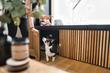 Bild von tinyhouse60.jpeg