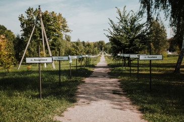 Bild von chernobyl_2018-19-von-134.jpg