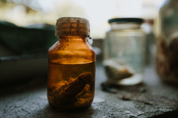 Bild von chernobyl_2018-121-von-134.jpg